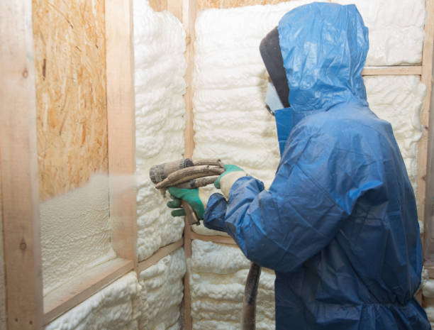 Best Attic Insulation Installation  in Bellair Meadowbrook Terrace, FL